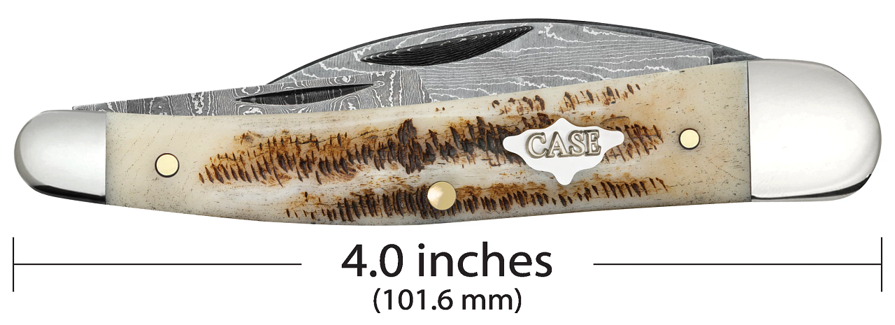 Case XX™ Seahorse Whittler 77464 Damascus Vintage Bone 1/1400 Pocket Knife