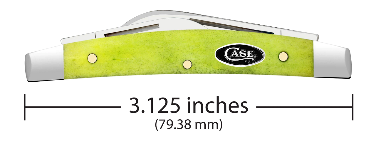 Case xx Small Congress Green Apple Bone 53032 Stainless Pocket Knife -  CA53032