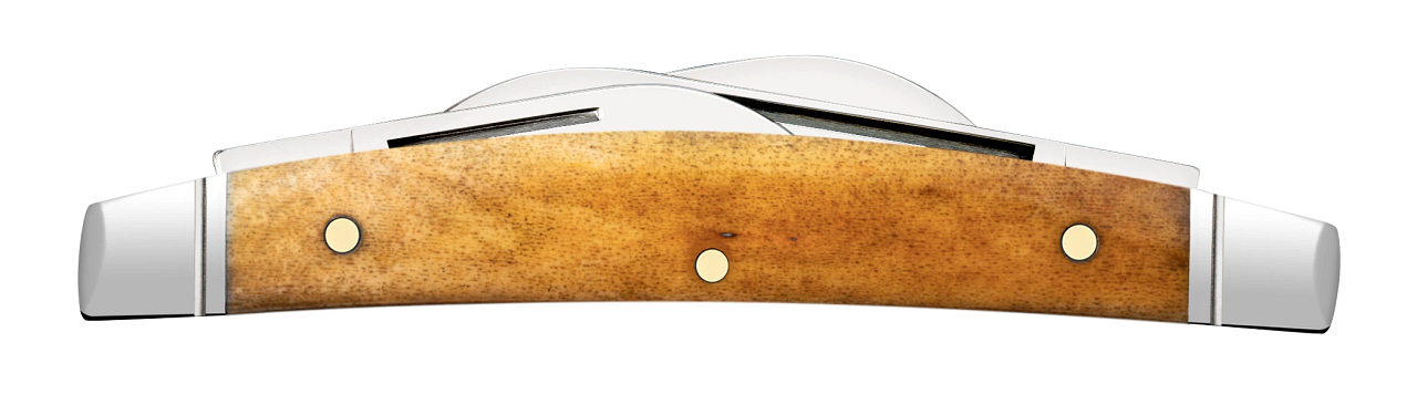 Case®  Smooth Antique Bone Peanut Knife –