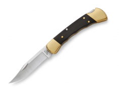 Buck Knives 110 Folding Hunter 0110BRSFG-B Ebony Hardwood 420HC Steel Knife