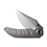 WE Knives Riff-Raff 22020B-4 Blasted Titanium CPM-20CV Stainless Pocket Knife