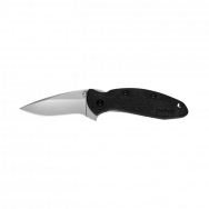 Kershaw Knives Scallion Liner Lock 1620 420HC Stainless Black Nylon